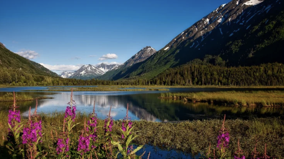 Canadá e Alasca com Andreia Machado e Tito Elbling!