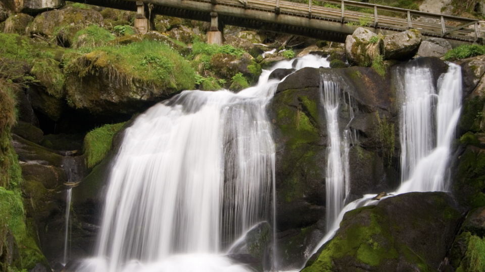 Fly & Drive pela Floresta Negra!
