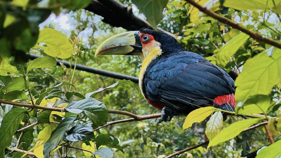 Argentina com @MarianaPorAhi