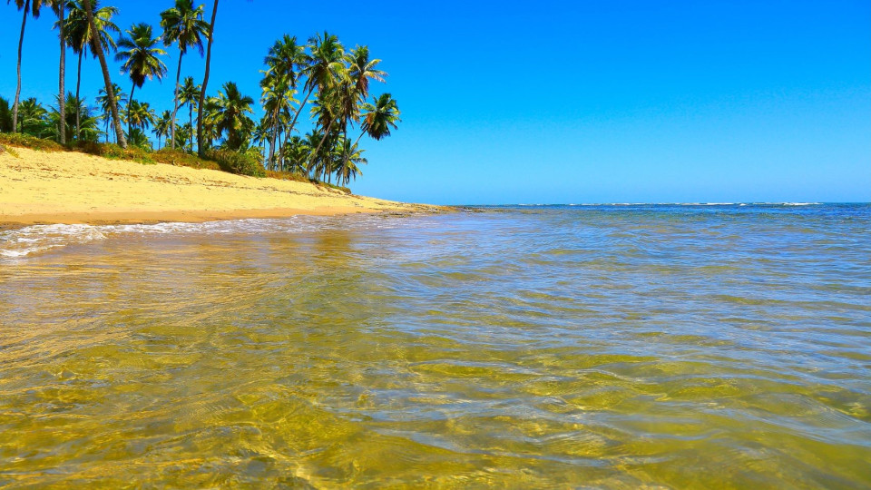 Fim de Ano na Bahia: 7 Noites de Sol, Ritmo e Mar