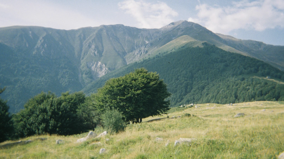 Ver&atilde;o paradis&iacute;aco em Macei&oacute;!