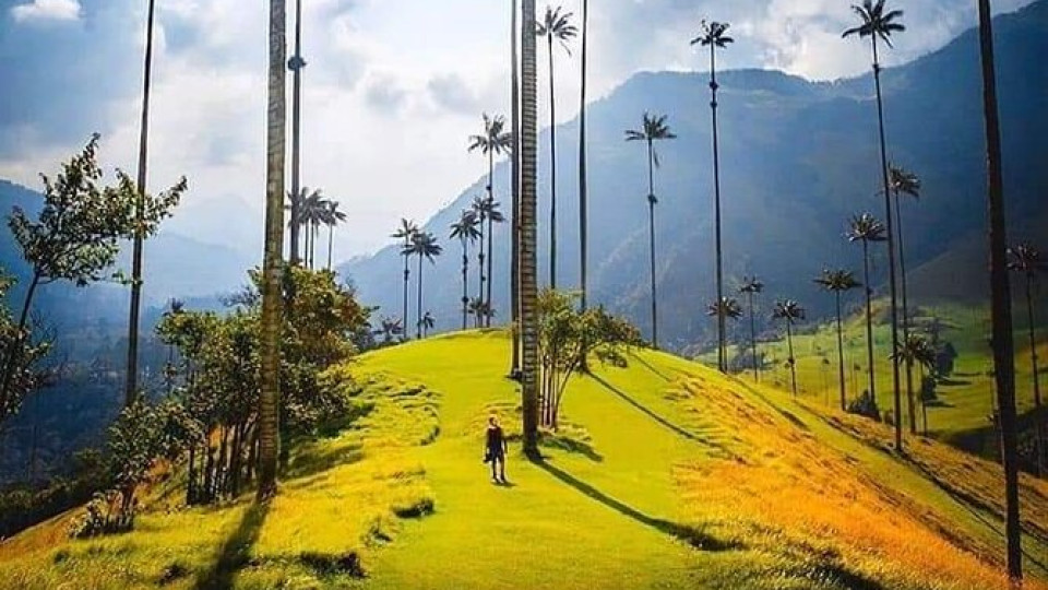 Colombia com @MarianaPorAhi