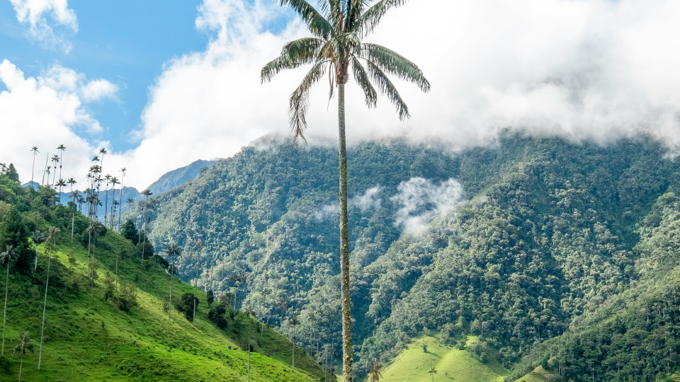 Colombia com @MarianaPorAhi