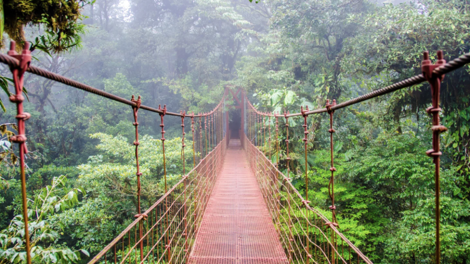Selvas, `Vulcões`, Praias e Amor!