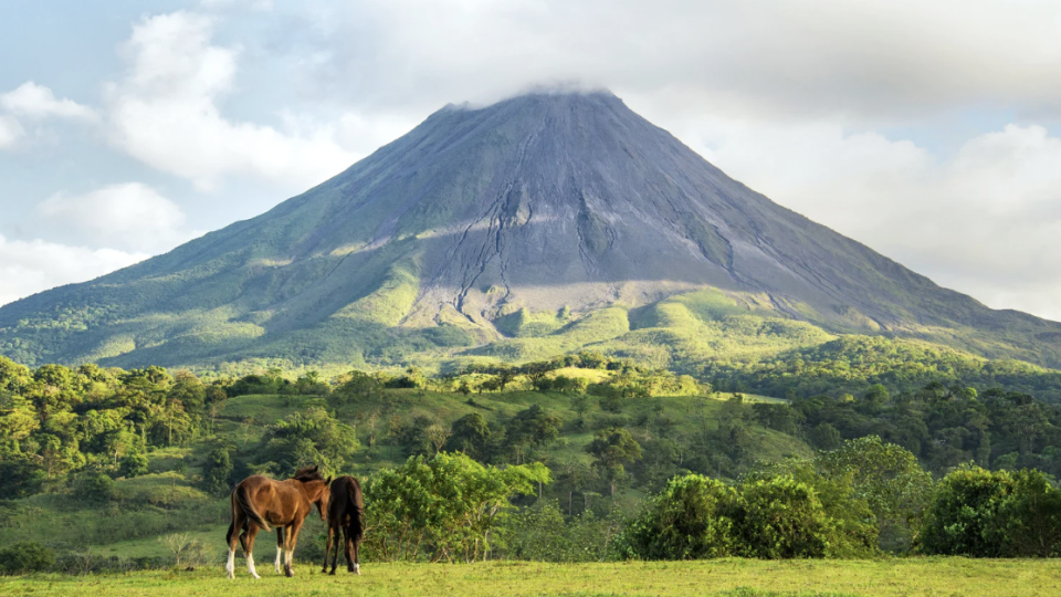 Selvas, `Vulcões`, Praias e Amor!