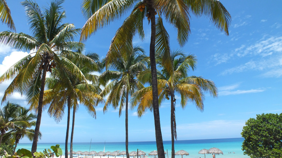 Modo Paraíso no Cayo Santa Maria!