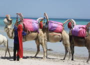 Djerba com tudo inclu&iacute;do!