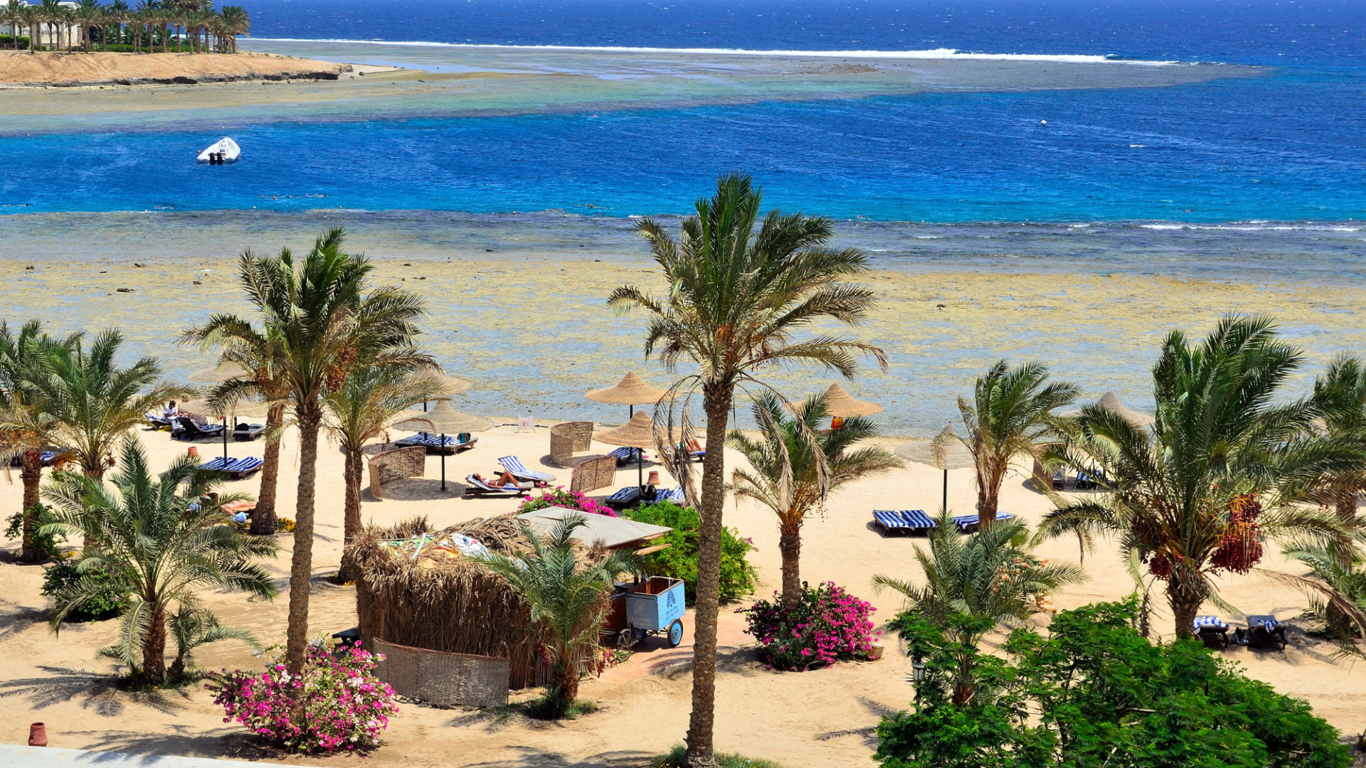Marsa Alam: Um novo para&iacute;so por descobrir!