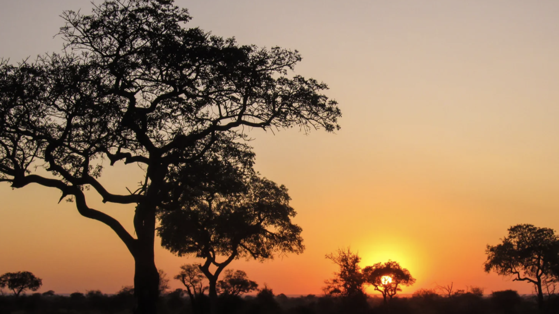 Expedi&ccedil;&atilde;o &Aacute;frica Essencial!