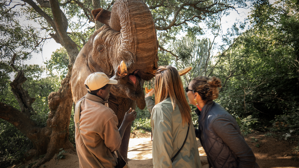 Aventura Real: Expedi&ccedil;&atilde;o em Essuat&iacute;ni!