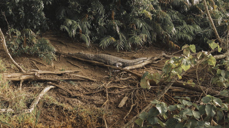 Expedi&ccedil;&atilde;o &Aacute;frica Essencial!