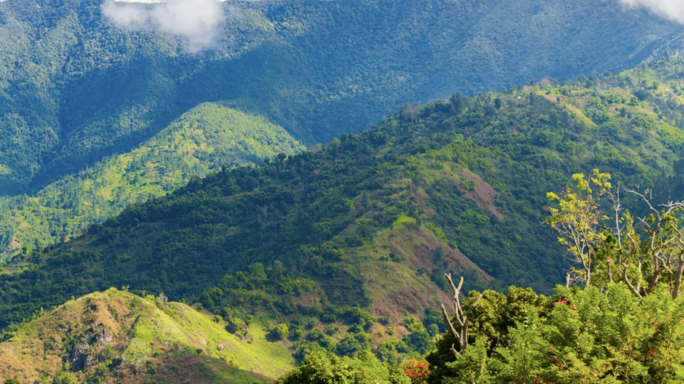 Jamaica com tudo inclu&iacute;do!