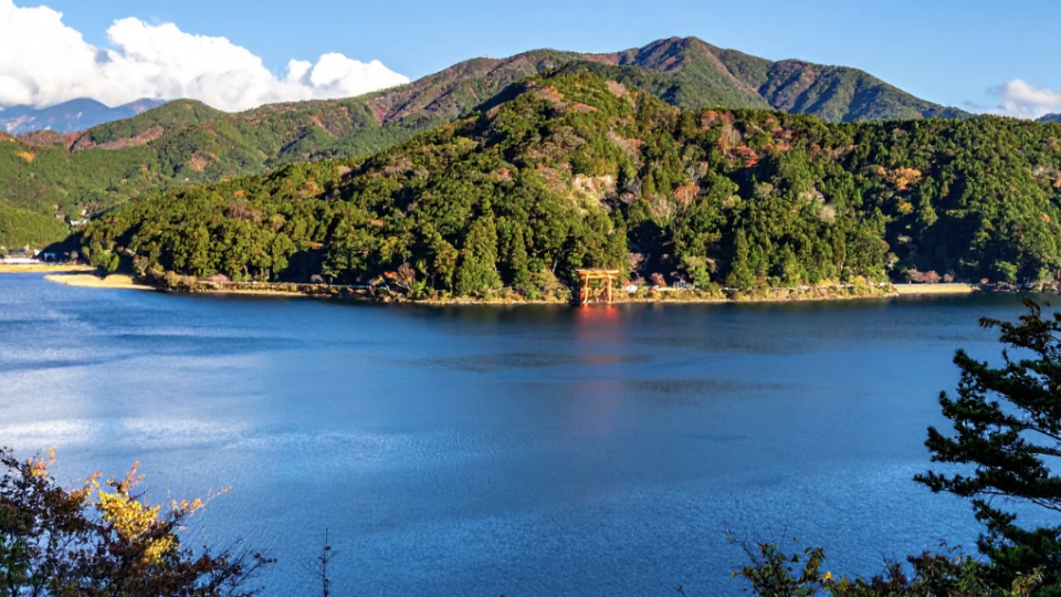 Jap&atilde;o Surpreendente com Tito Elbling e Lu&iacute;s Henriques