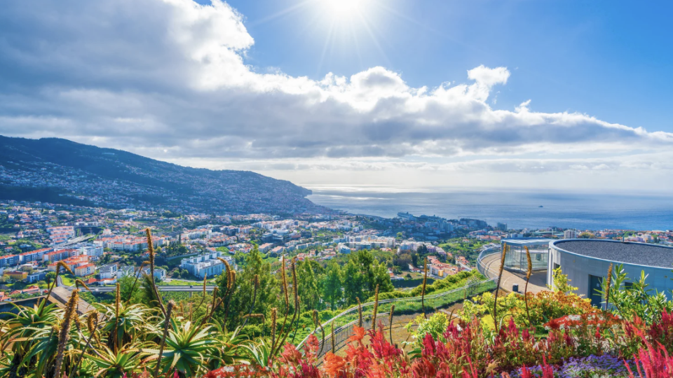 Funchal: Circuito à descoberta da Madeira!