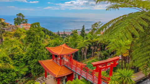 Escapadinha à MADEIRA!