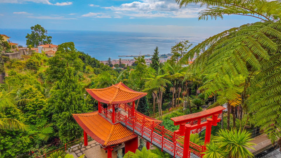 Escapadinha à MADEIRA!