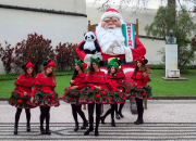 Madeira no Natal: Cores, Sabores e Tradições!