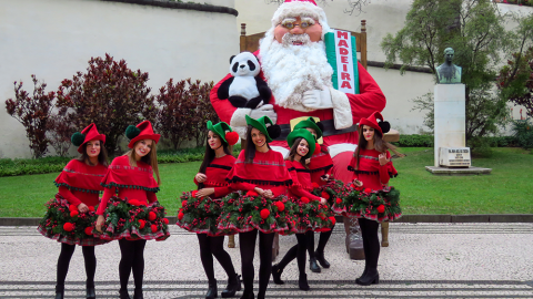 Madeira no Natal: Cores, Sabores e Tradições!