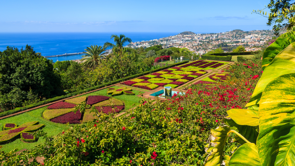 Festa da Flor na Ilha da Madeira!