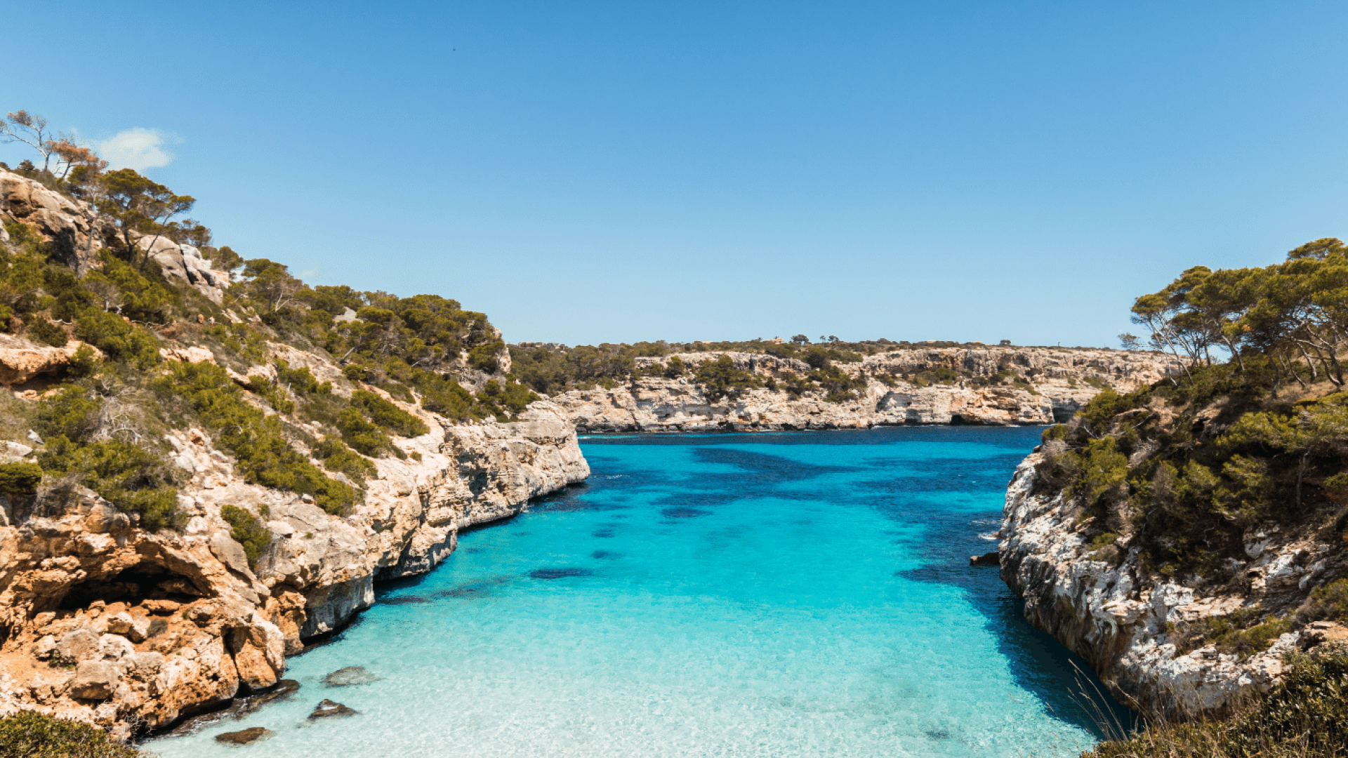 Palma de Maiorca chama por ti!