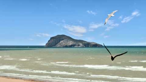 Saïdia: Sol, Mar e Tudo Incluído