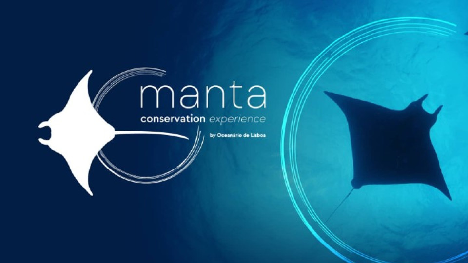 Manta Conservation Experience by Oceanário de Lisboa