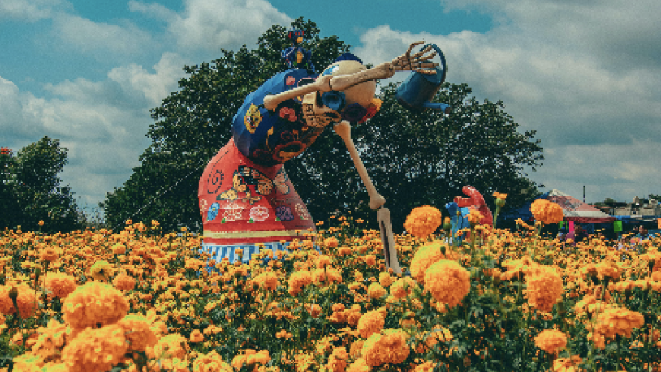 México com Filipa Gaspar - DIA DE LOS MUERTOS!