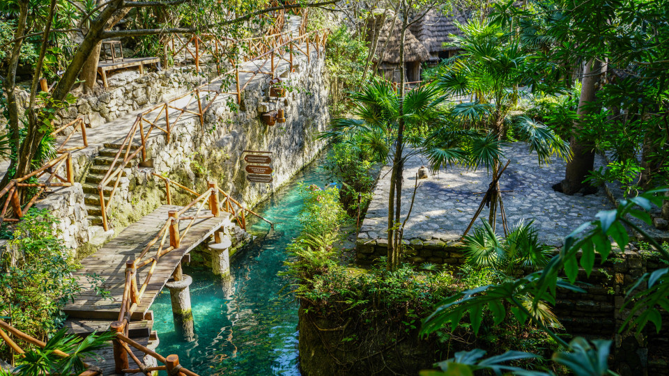 Riviera Maya BLACK WEEK