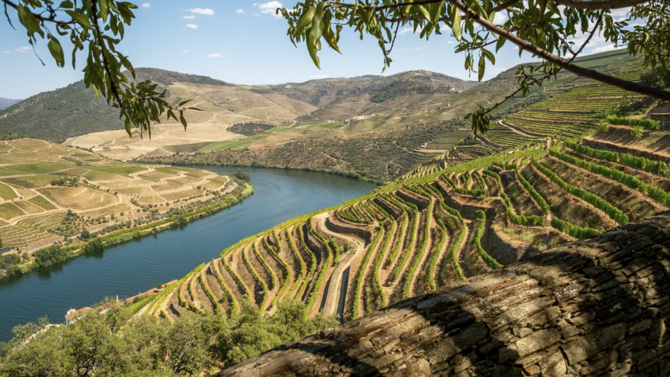 Percurso do Minho at&eacute; ao Vale do Douro