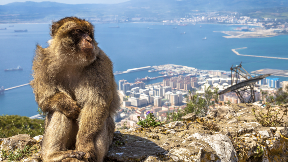 Cruzeiro Portugal, Gibraltar e Espanha com Anna Ruas