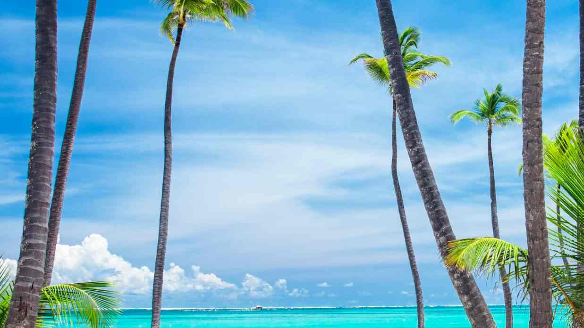 Punta Cana em fam&iacute;lia!