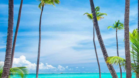 Punta Cana em fam&iacute;lia!