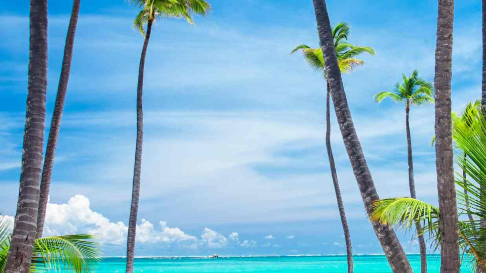 Última oportunidade: Punta Cana como sempre sonhaste!