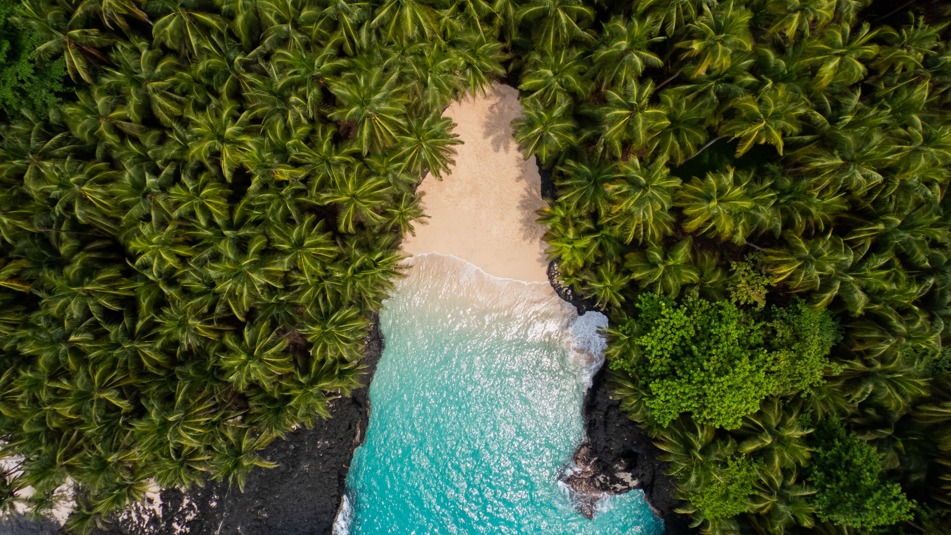 Encantos Tropicais de São Tomé e Príncipe