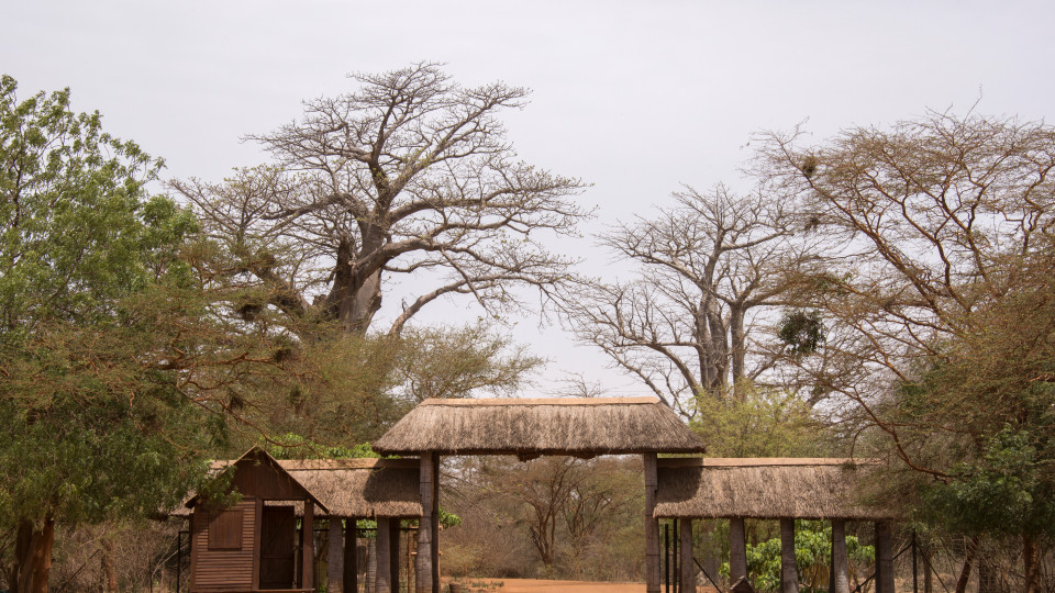 Senegal: Tudo Incluído no Riu Baobab