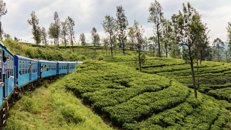 Sri Lanka com Rute Obadia e Tiago Oliveira