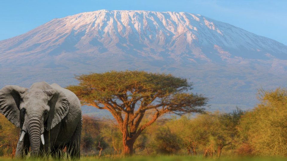 Da Savana ao Paraíso: A Tua Lua de Mel em Zanzibar!