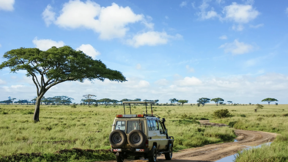 Da Savana ao Paraíso: A Tua Lua de Mel em Zanzibar!