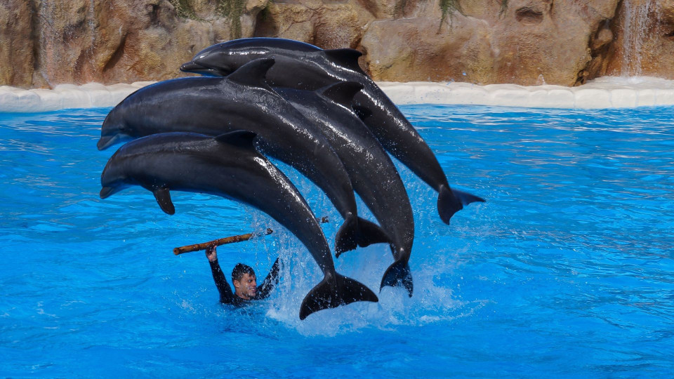 Escapadinha em Tenerife!