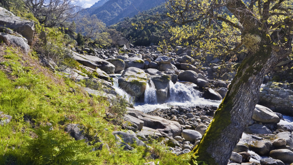 Esqui de Montanha - Sierra de Gredos