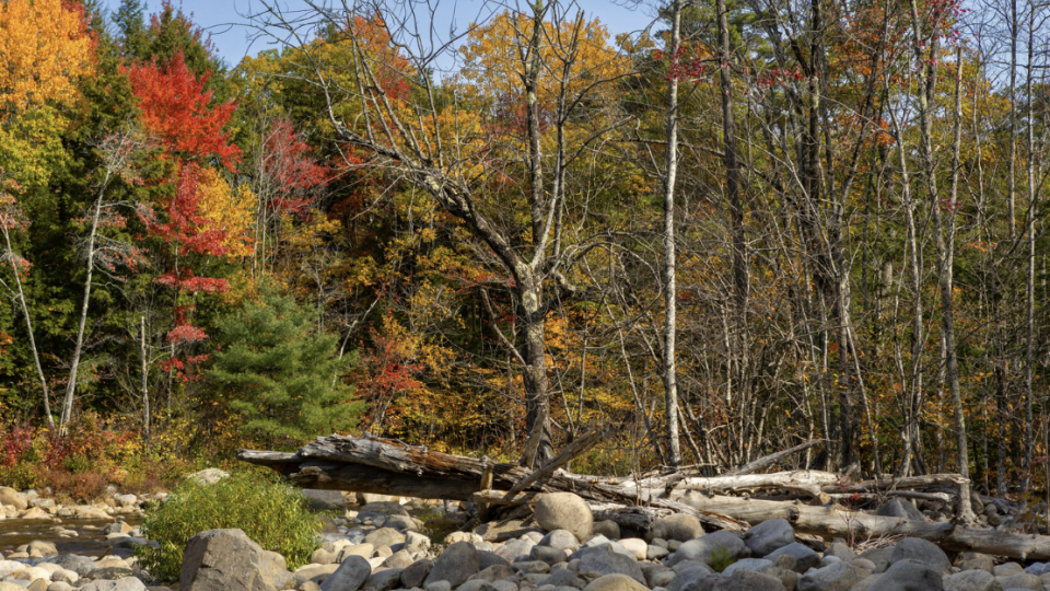 Road Trip pela Am&eacute;rica do Sul: Col&oacute;nia a Punta del Este!