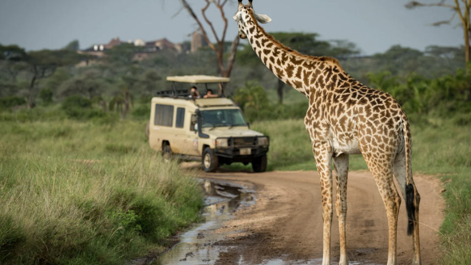 Safari Express e Zanzibar Rom&acirc;ntico!