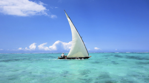 Romance no Paraíso em Zanzibar!